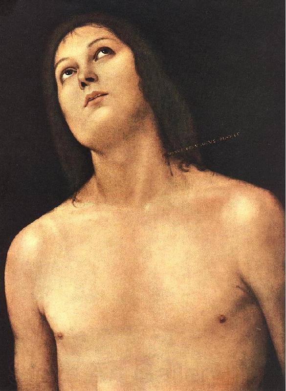 PERUGINO, Pietro Bust of St. Sebastian sg Norge oil painting art